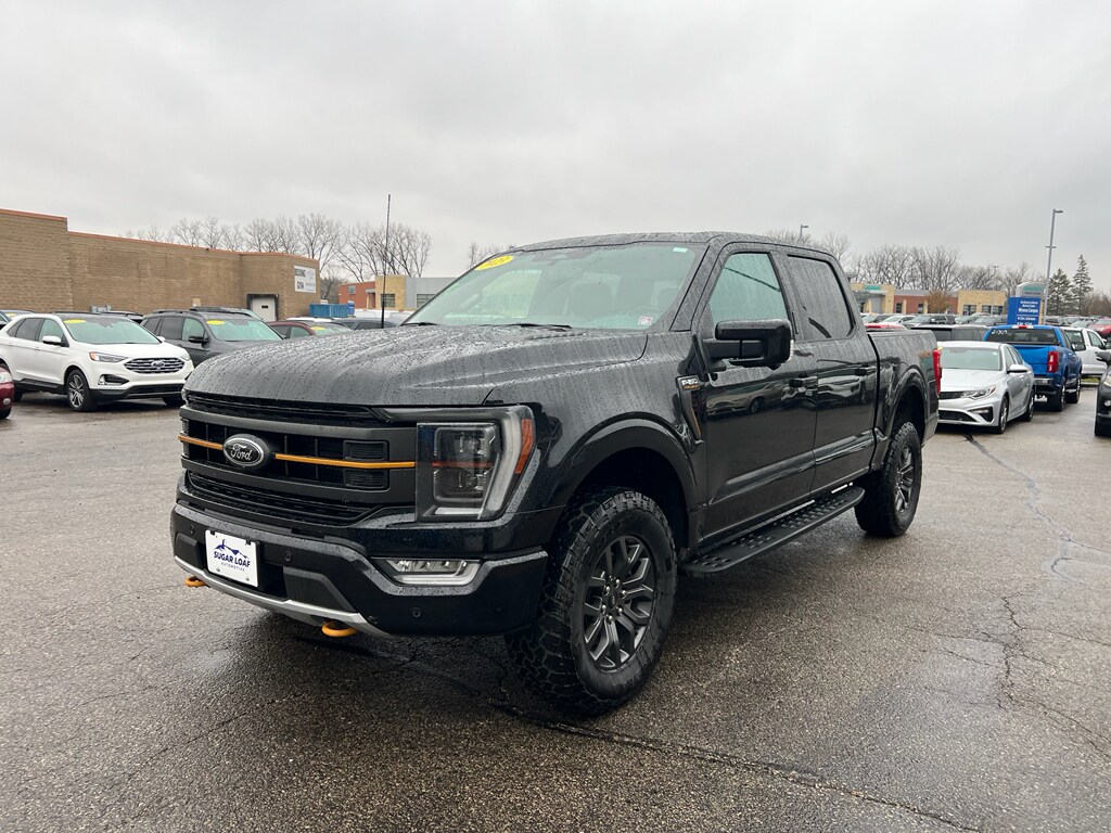 2023 Ford F-150 Tremor photo 2