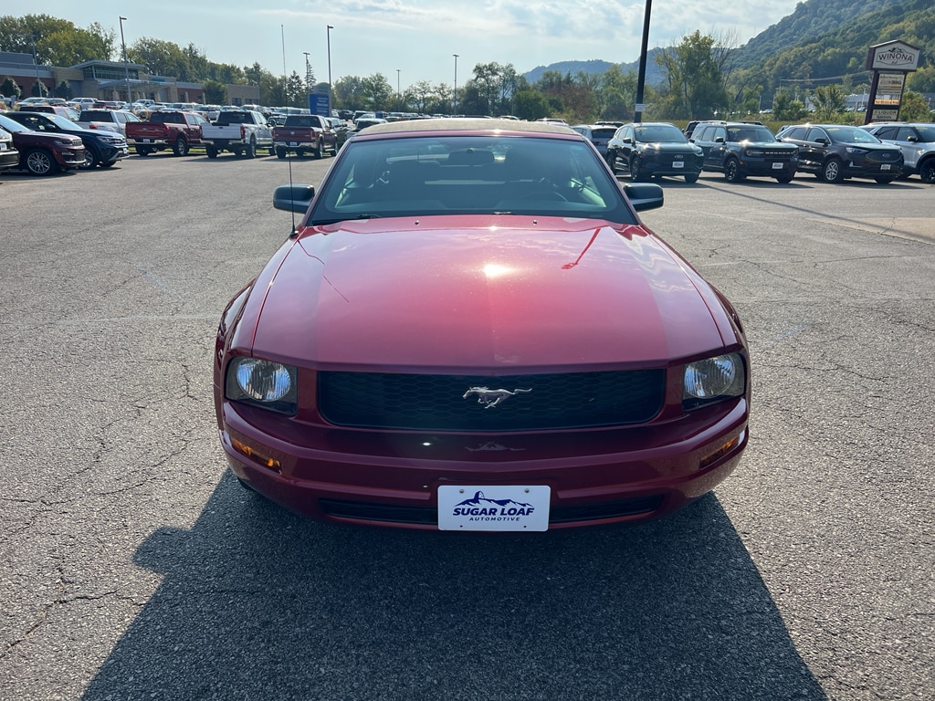 Used 2006 Ford Mustang Standard with VIN 1ZVFT84N765262046 for sale in Winona, Minnesota