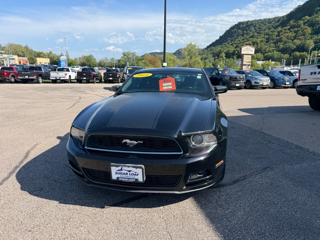 Used 2014 Ford Mustang V6 with VIN 1ZVBP8AM3E5304063 for sale in Winona, MN