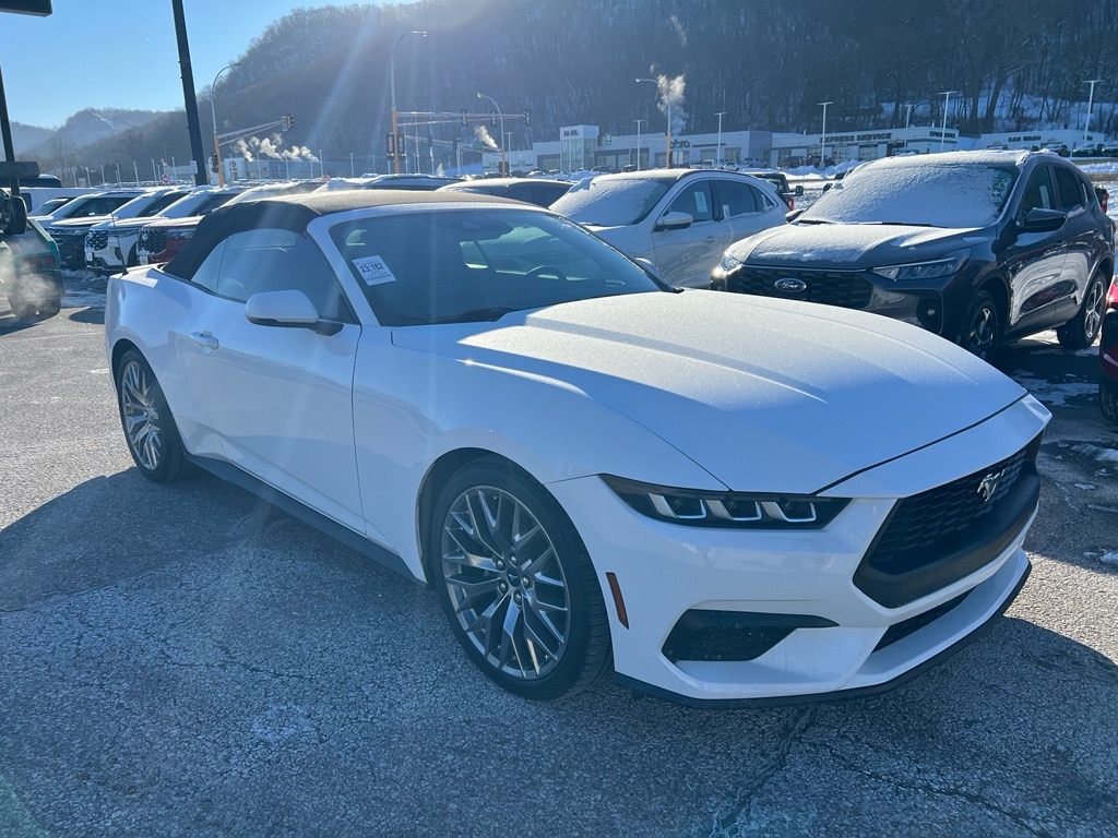 Used 2024 Ford Mustang EcoBoost Premium with VIN 1FAGP8UH6R5108573 for sale in Winona, Minnesota