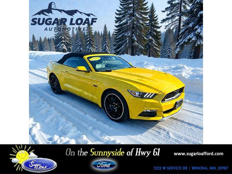 2017 Ford Mustang GT Premium's photo