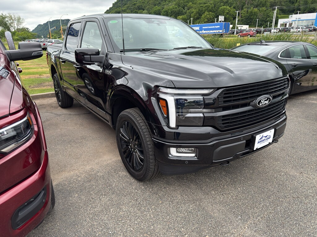 2025 Ford F-150 Platinum photo 2
