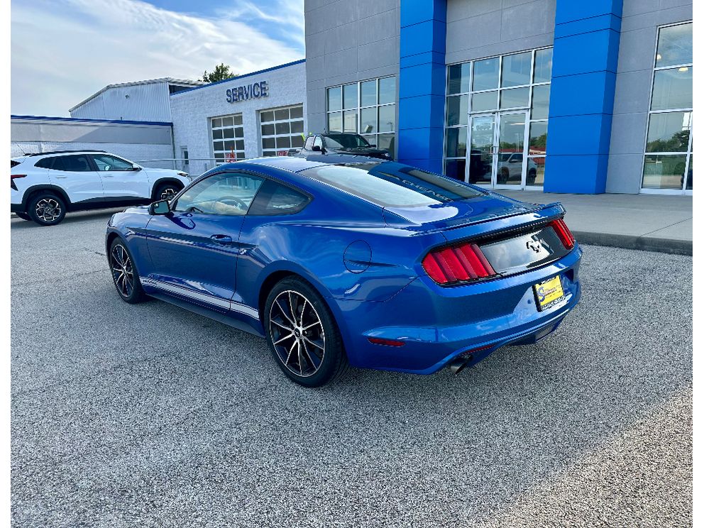 Used 2017 Ford Mustang EcoBoost with VIN 1FA6P8TH9H5221140 for sale in Sullivan, IN