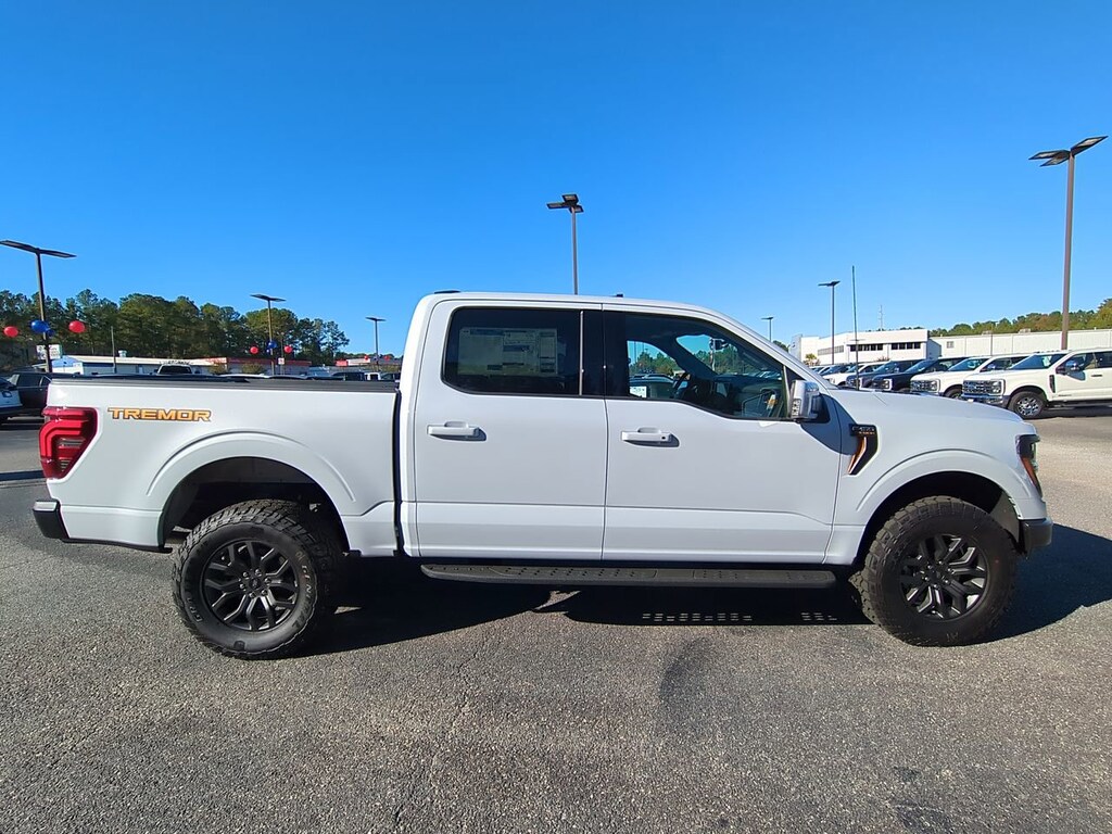 New 2025 Ford F-150