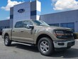 Ford F-150 Series