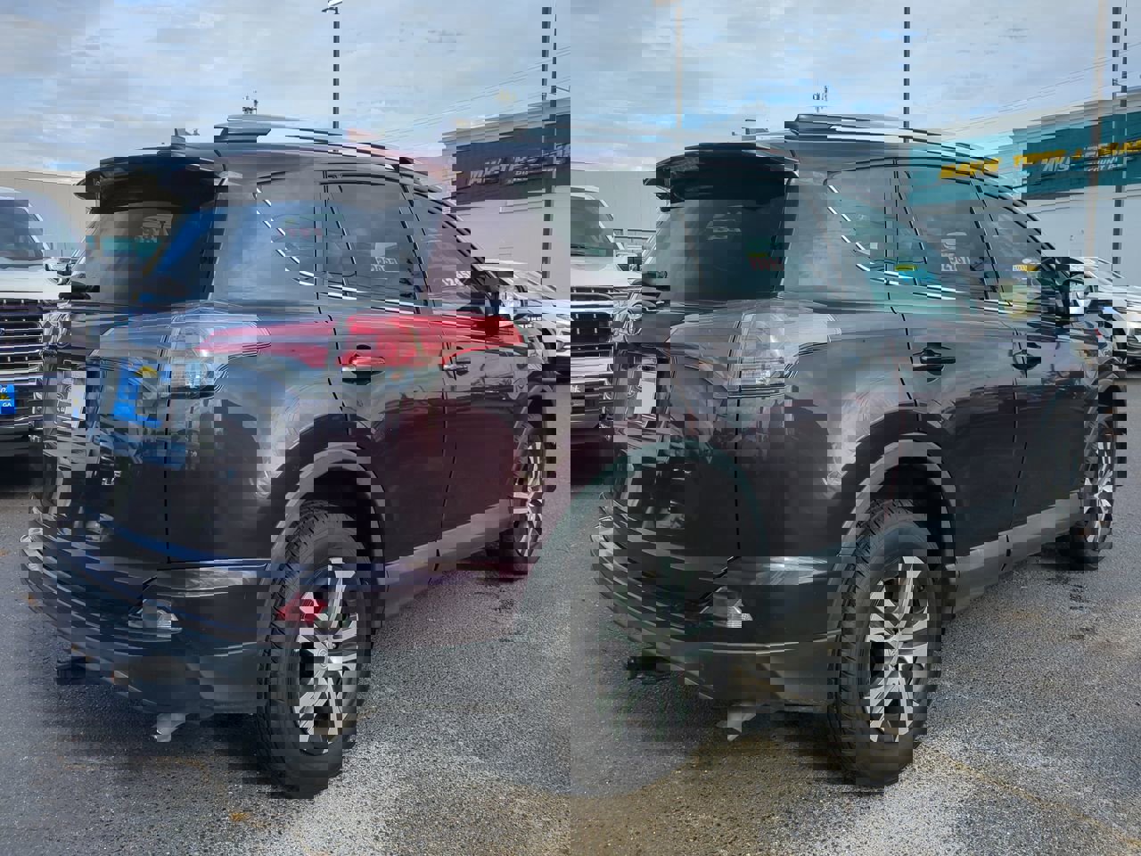 2017 Toyota RAV4 LE photo 4