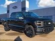 Ford F-150 Series