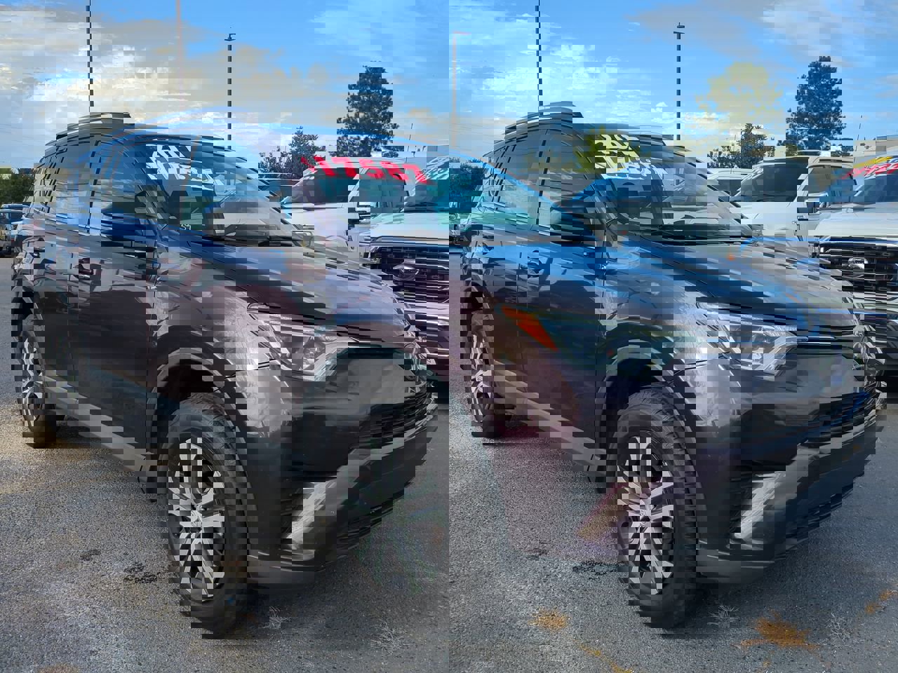 2017 Toyota RAV4 LE photo 2