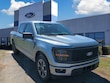 Ford F-150 Series
