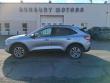 Used 2022 Ford Escape SEL SUV