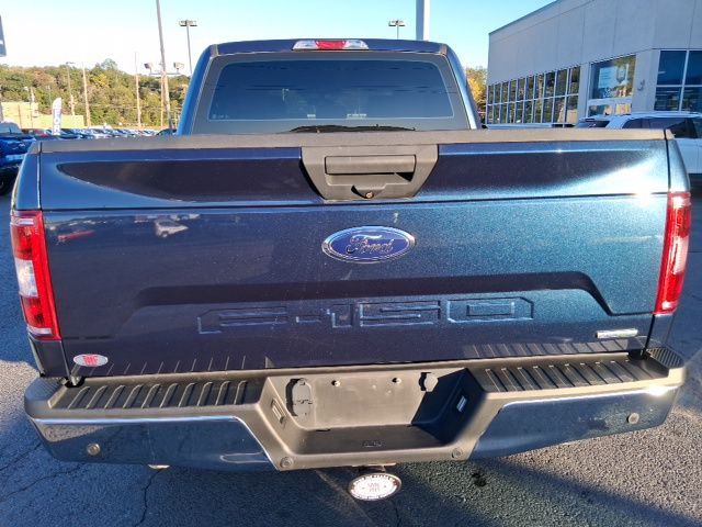 2019 Ford F-150 XL photo 3