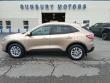 Used 2020 Ford Escape SE SUV