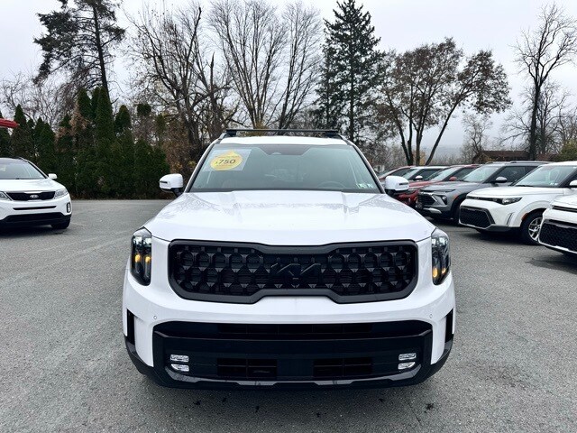 2025 Kia Telluride X-Line photo 2