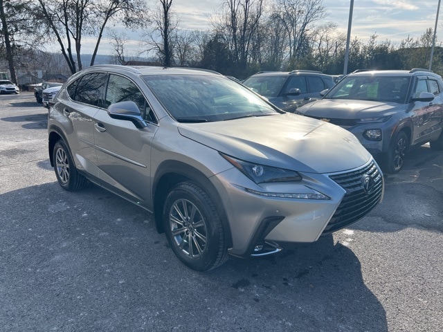 2018 Lexus NX 300h's photo