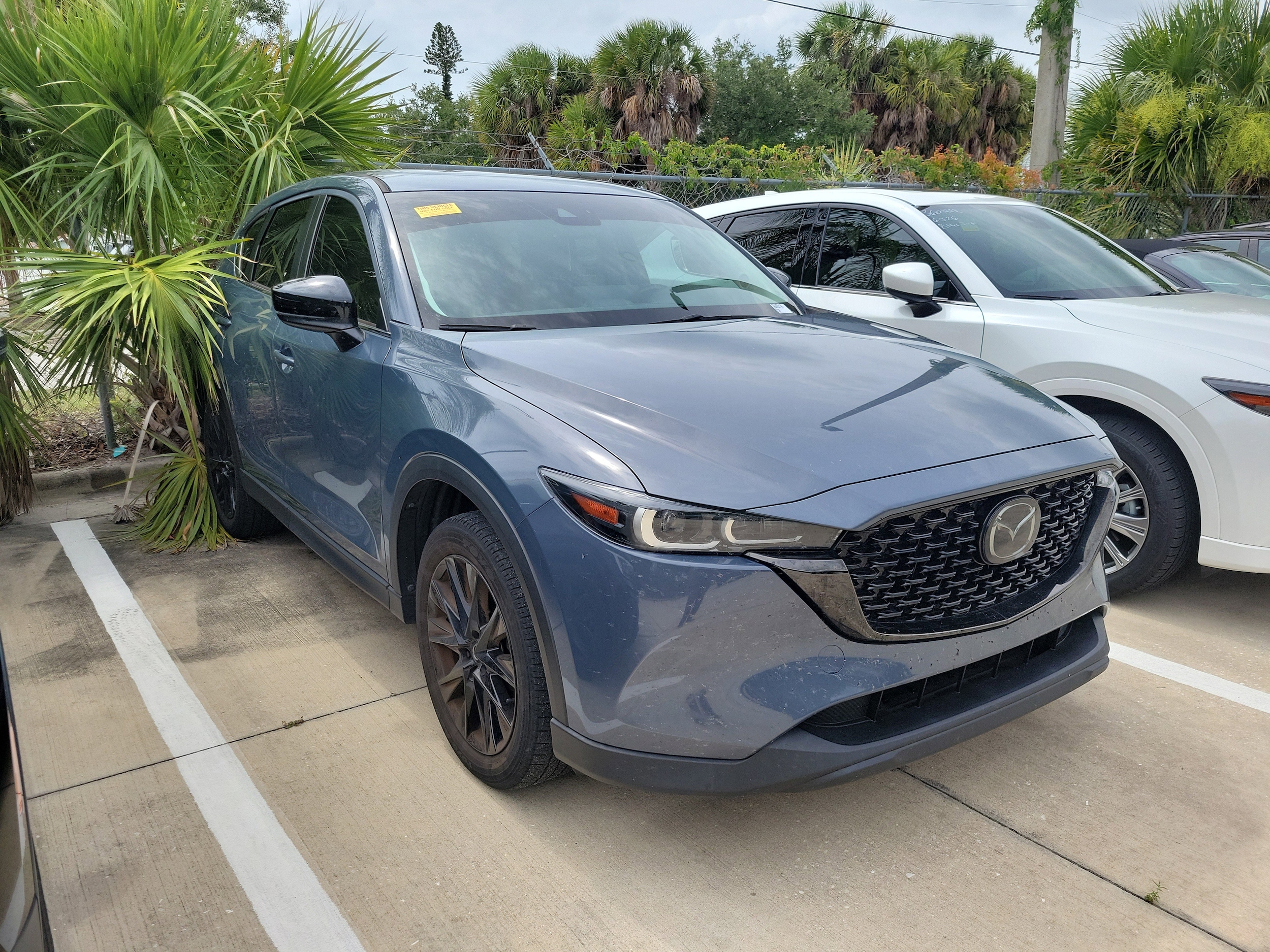 2023 Mazda CX-5 S Carbon Edition Auto AWD's photo