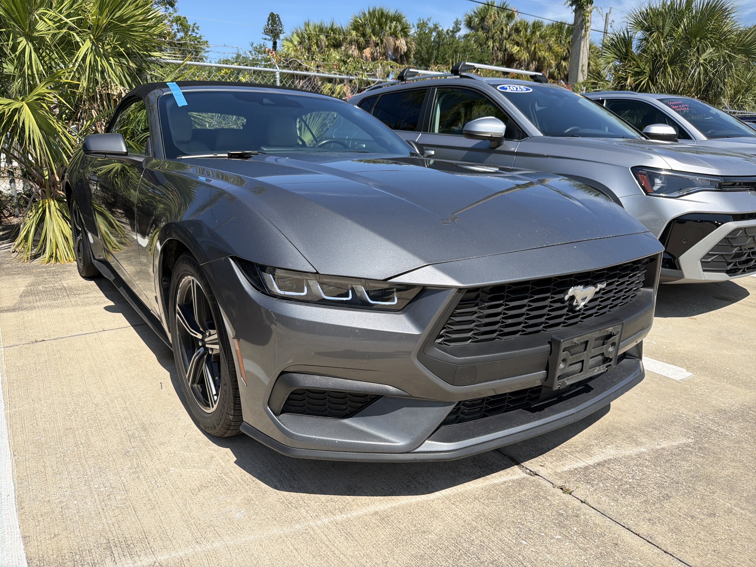 2024 Ford Mustang EcoBoost Premium Convertible's photo