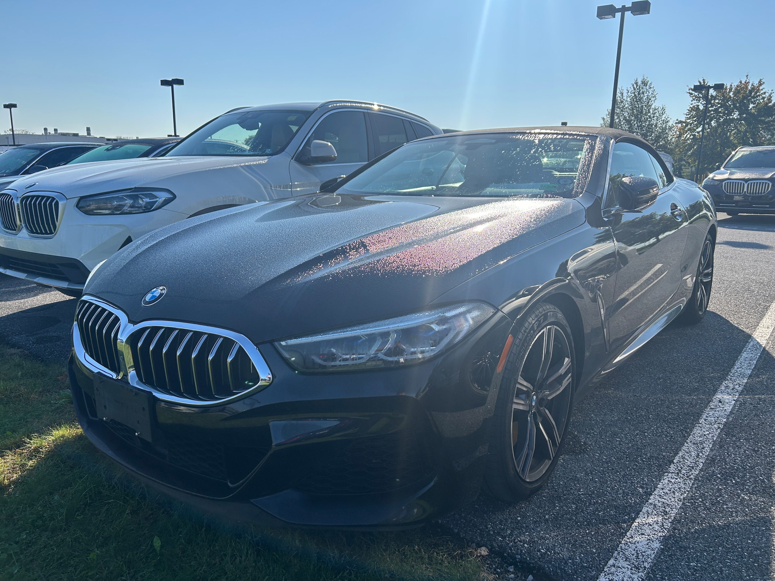 2019 BMW 8 Series