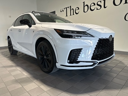 2023 Lexus RX 350h 500h F SPORT AWD's photo