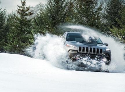 2017 Jeep Cherokee Performance 4WD in McHerny, IL