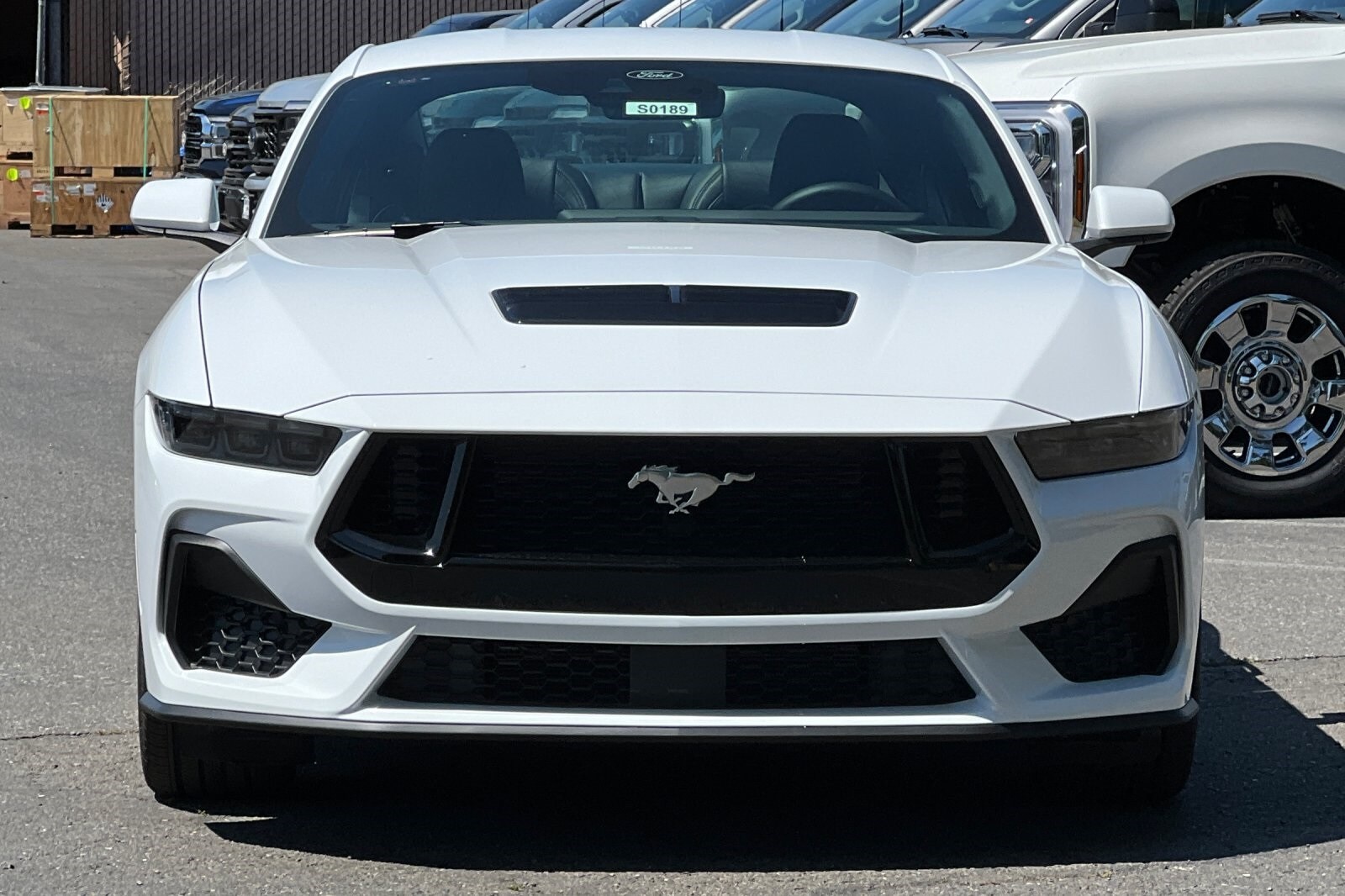 2025 Ford Mustang GT Premium photo 2