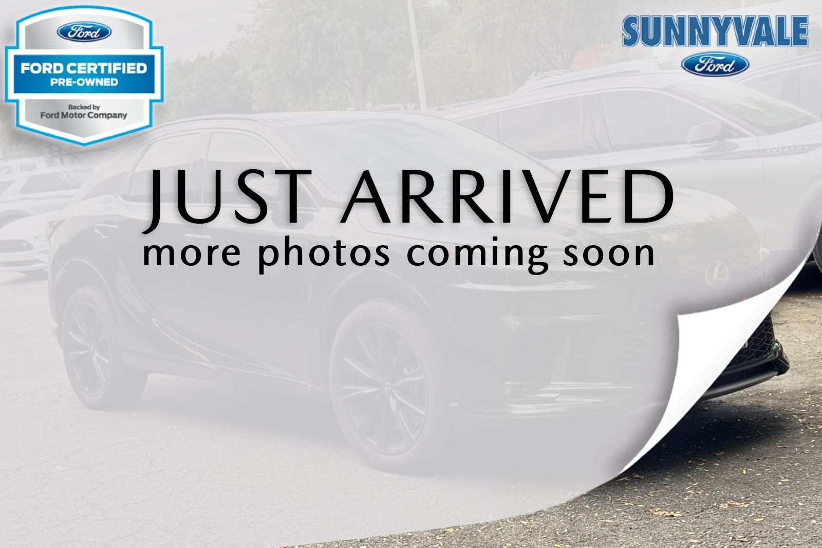 2023 Lexus RX 350h 500h F SPORT AWD's photo