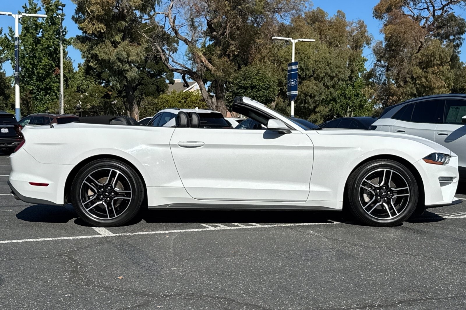 2023 Ford Mustang EcoBoost Premium Convertible photo 3