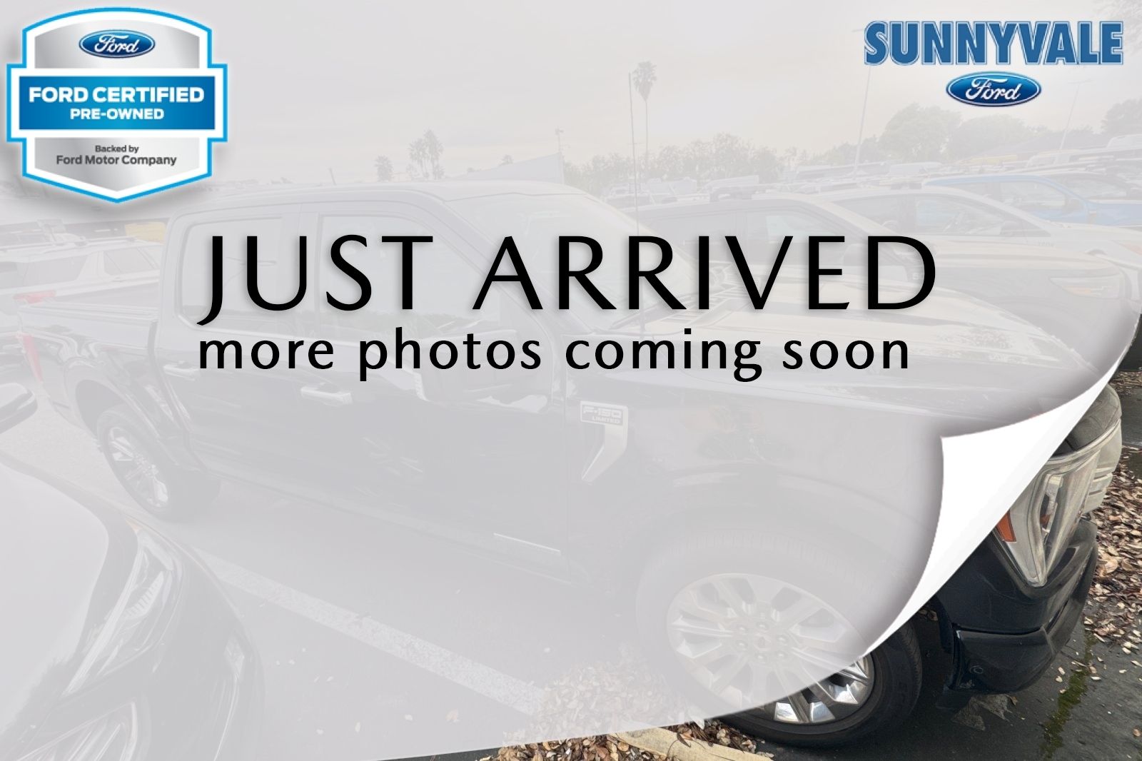 2021 Ford F-150 Truck 