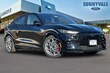  Ford Mustang Mach-E