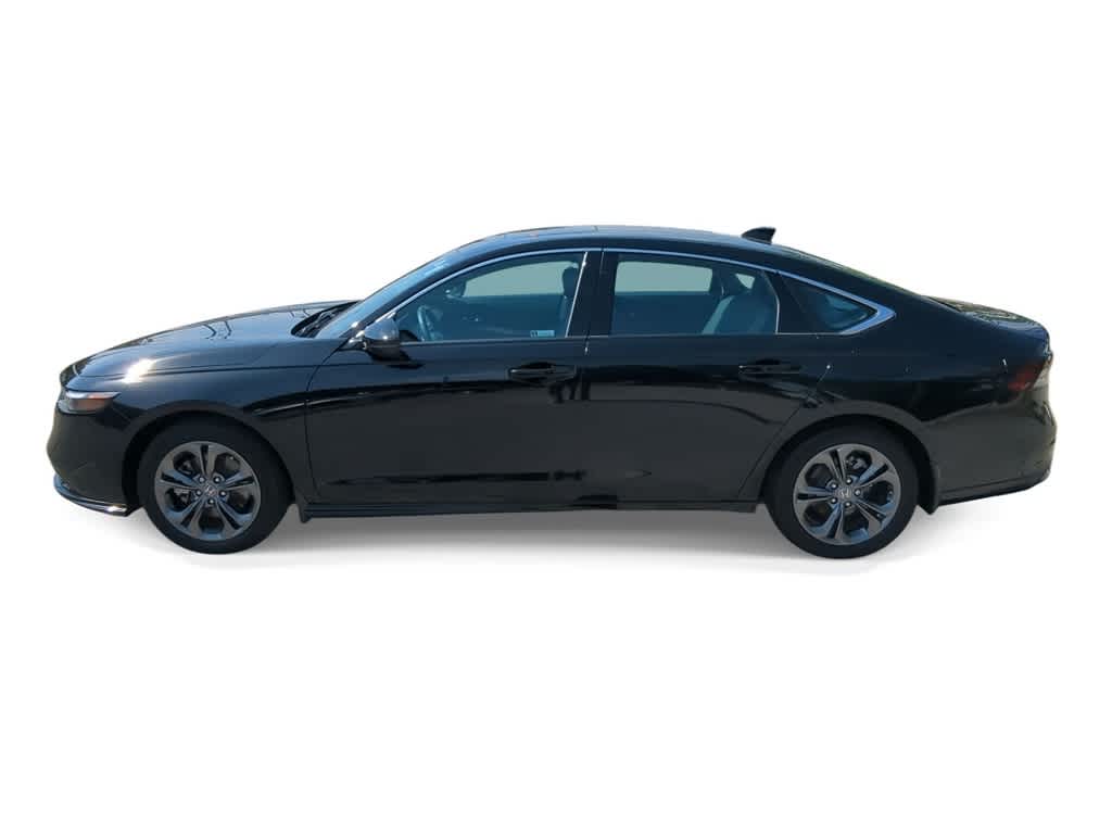 2024 Honda Accord EX-L 5
