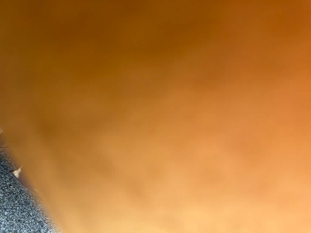 Thumbnail: 2021 Kia Forte - 22