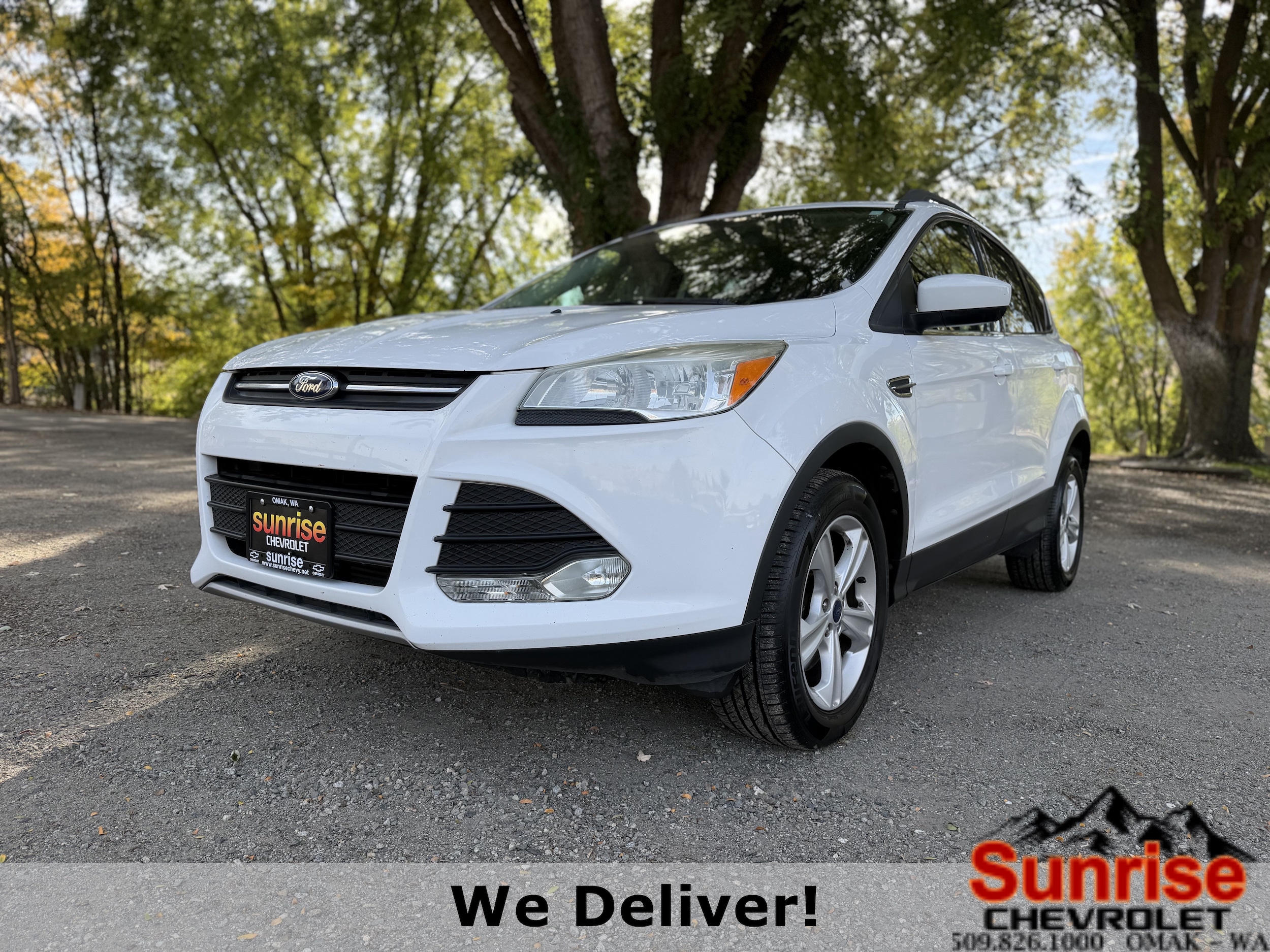 2014 Ford Escape SE