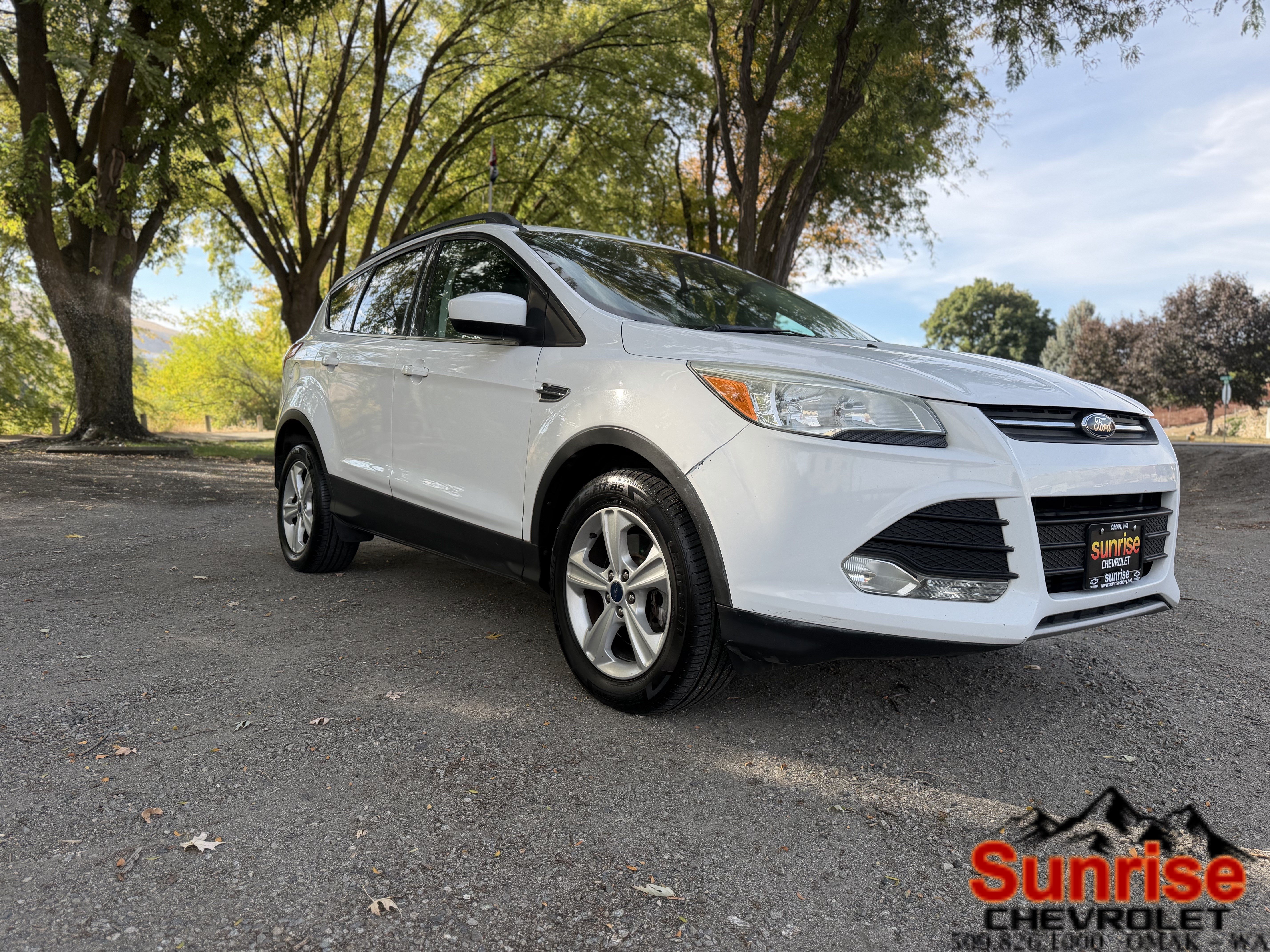 Used 2014 Ford Escape SE with VIN 1FMCU9G92EUC24201 for sale in Omak, WA