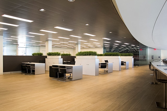 Interior 1.jpg