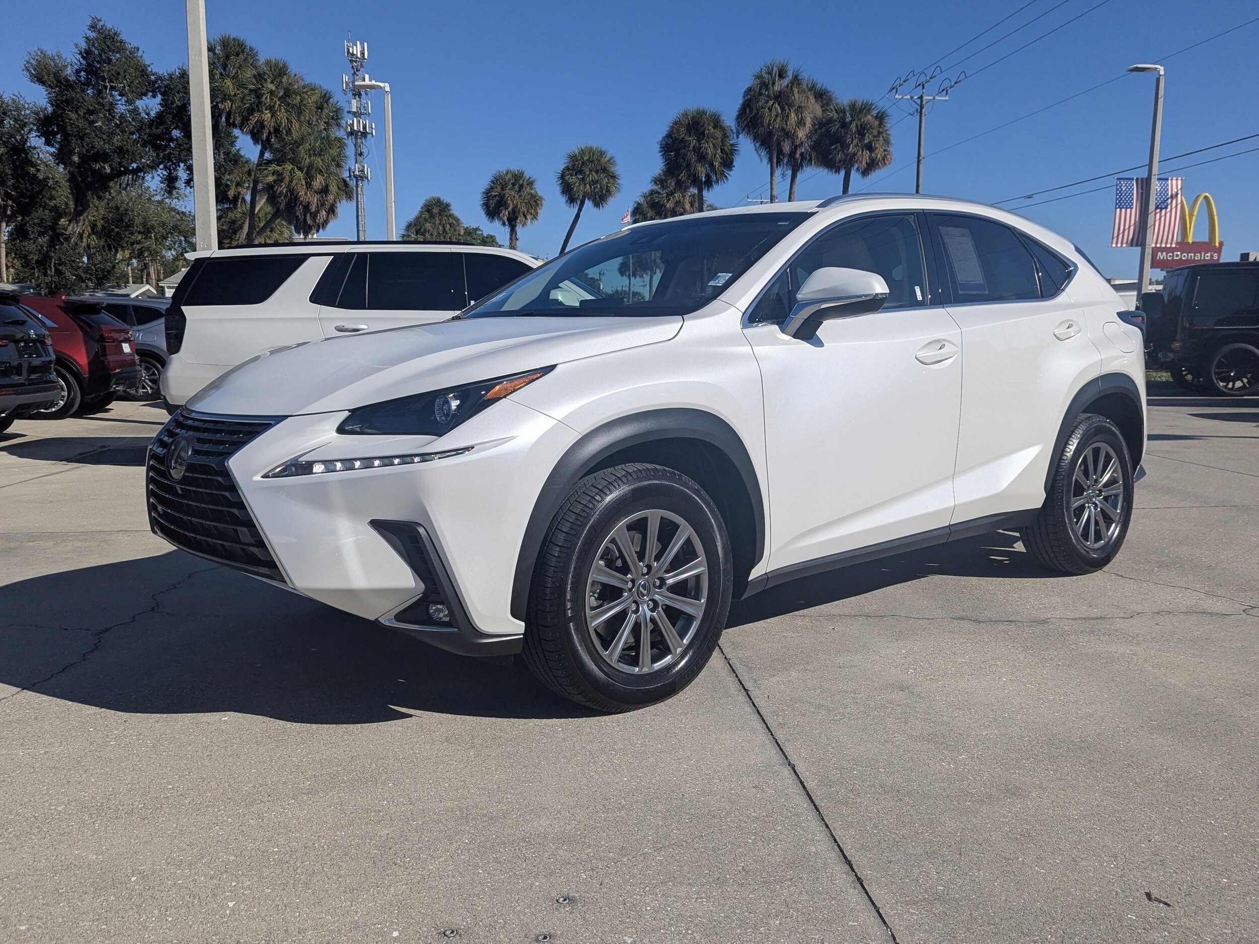 2018 Lexus NX 300 Luxury photo 3