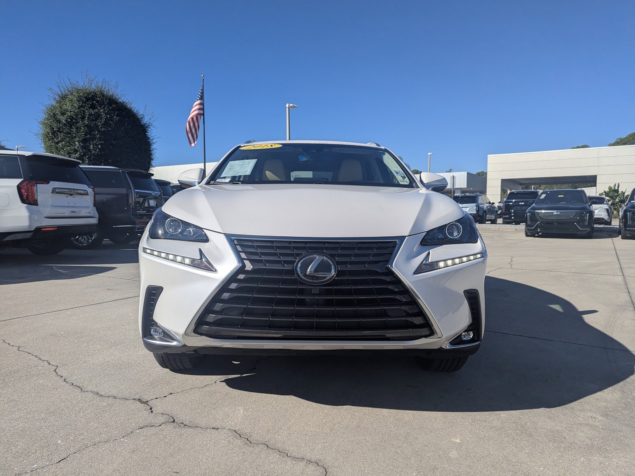 2018 Lexus NX 300 Luxury photo 2