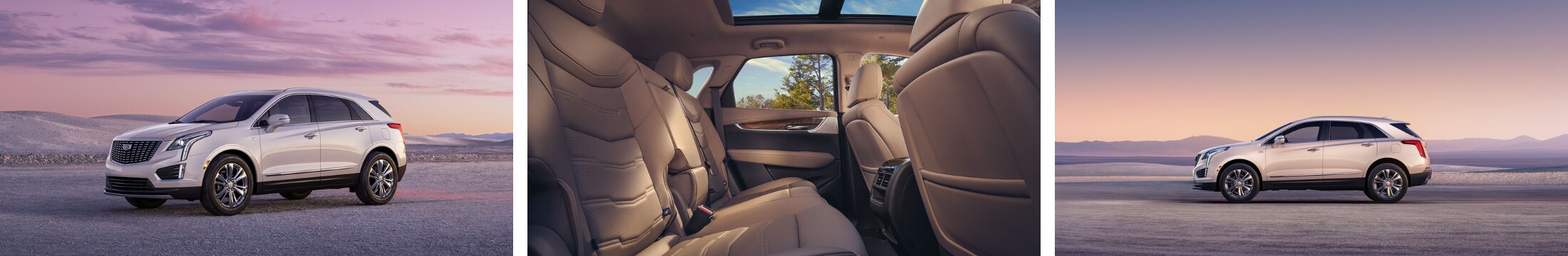 2024 Cadillac XT5 for Sale in Venice, FL