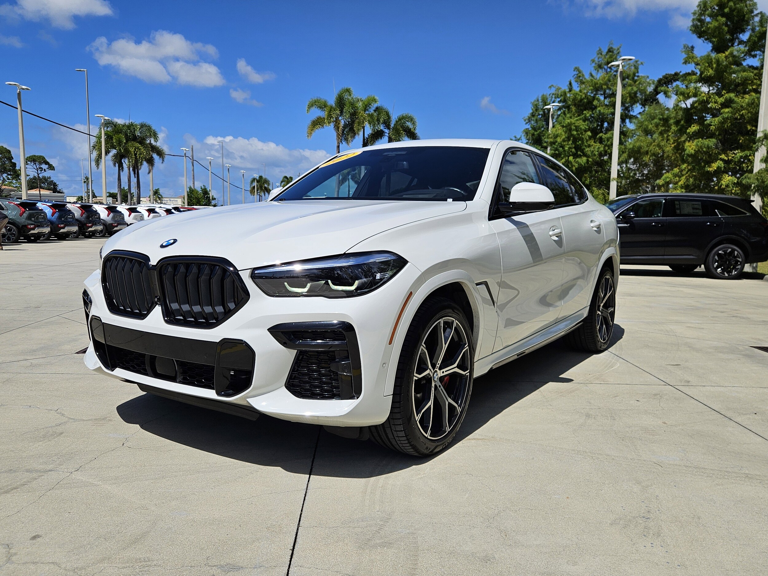 2022 Bmw X6 xDrive40i photo 3