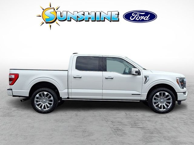 2023 Ford F-150 Limited - Photo 7