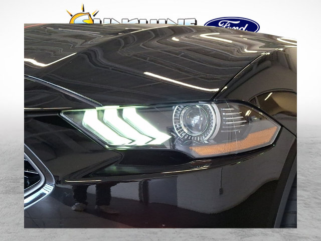 2022 Ford Mustang Mach 1 - Photo 3