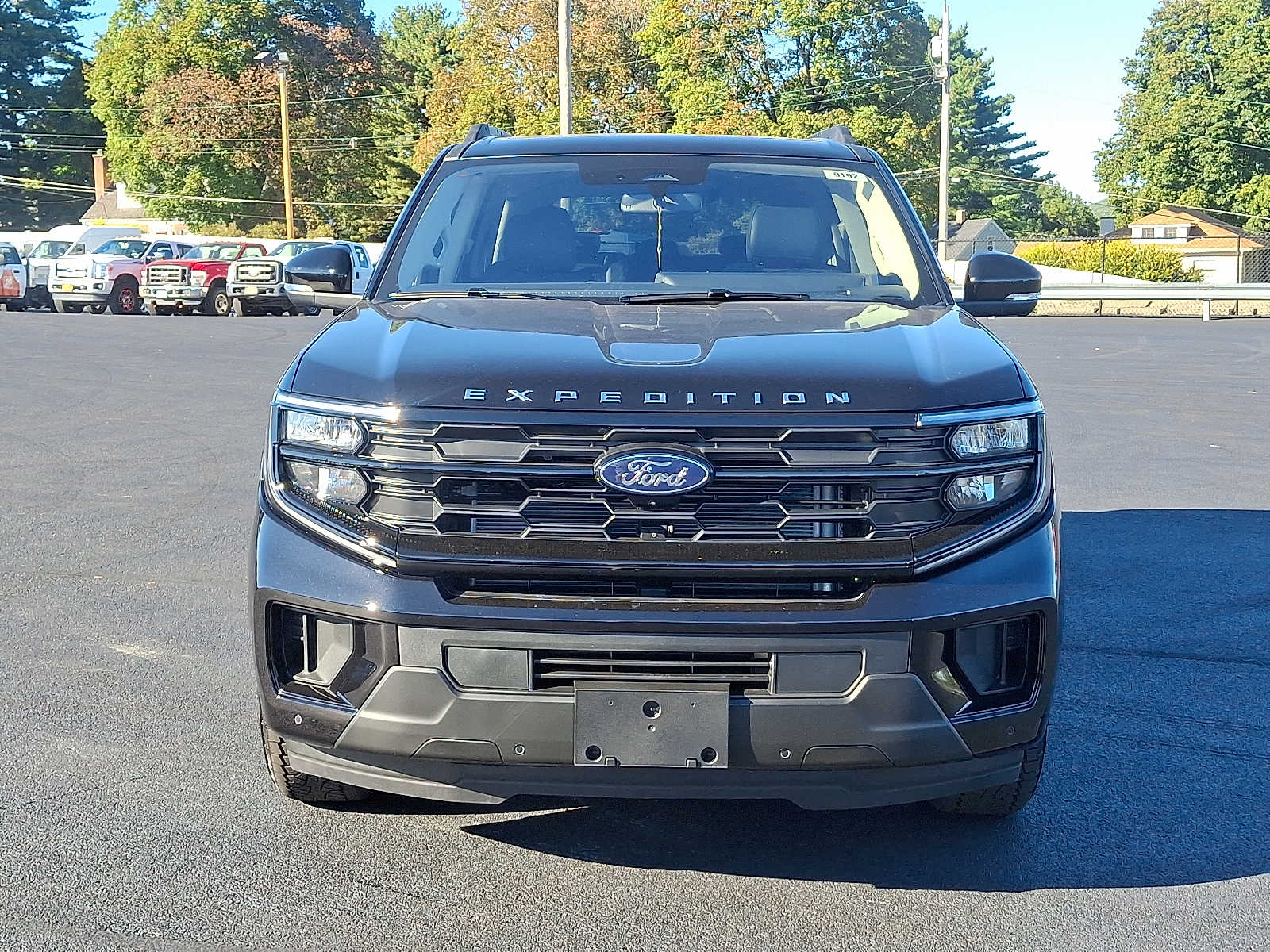 2025 Ford Expedition photo 2