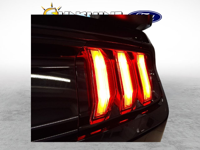 2022 Ford Mustang Mach 1 - Photo 6