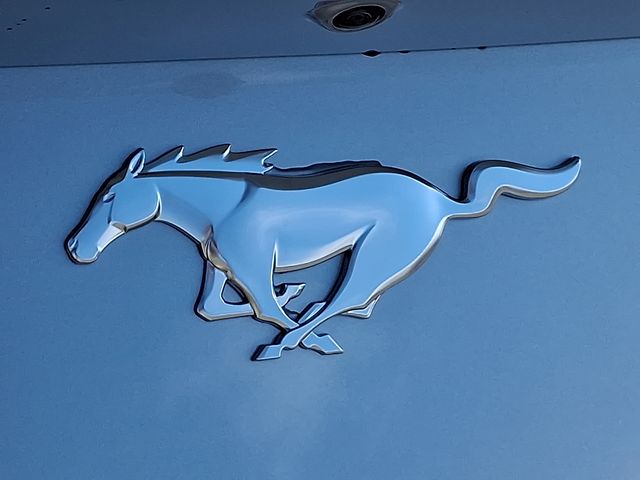 2025 Ford Mustang EcoBoost Premium Fastback - Photo 22