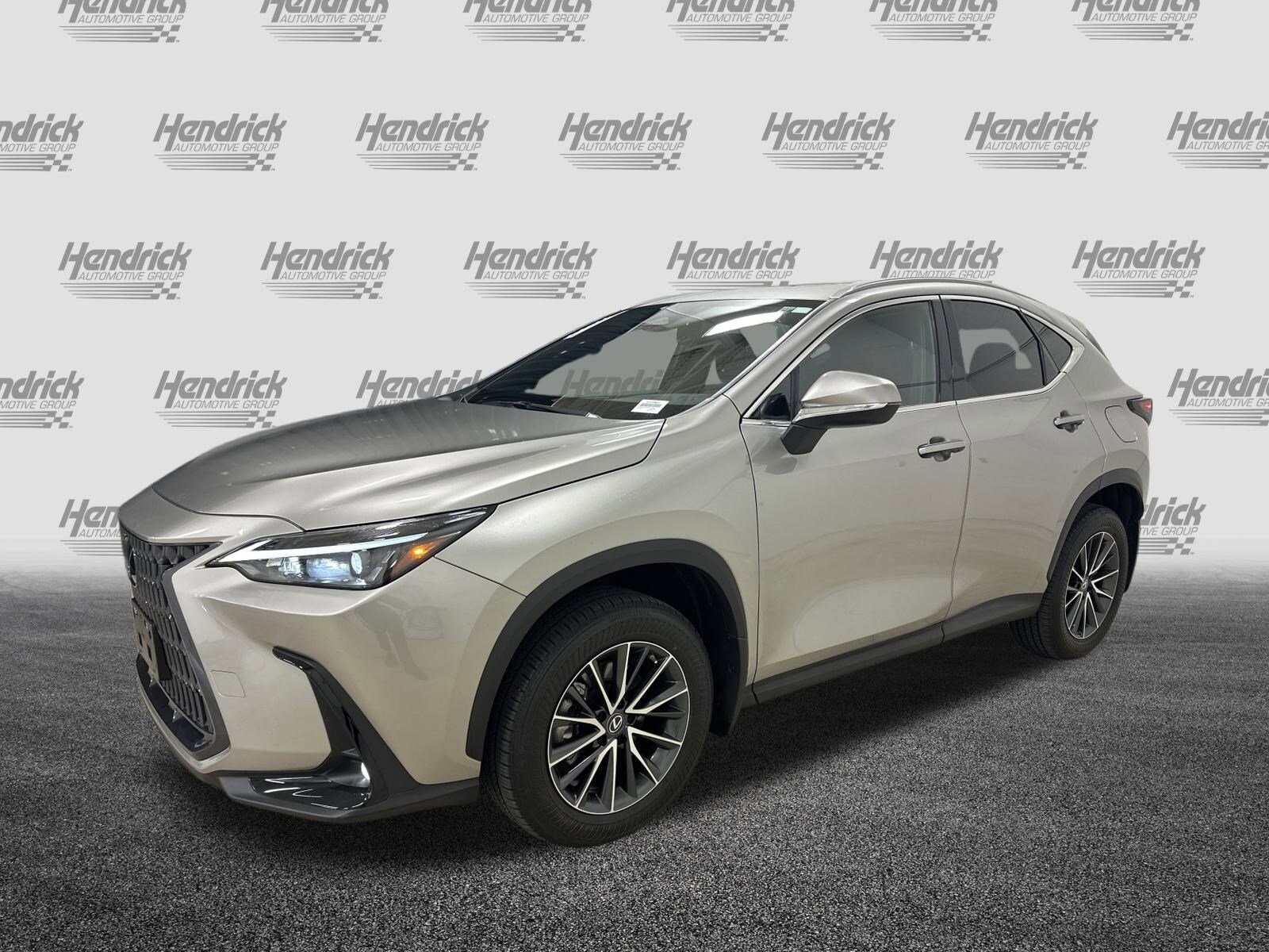 2023 Lexus NX 350h photo 4
