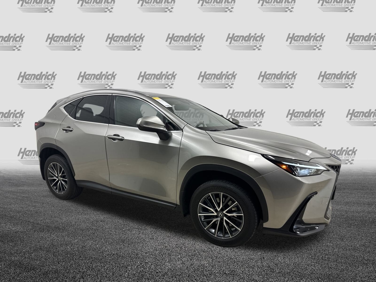 2023 Lexus NX 350h photo 2