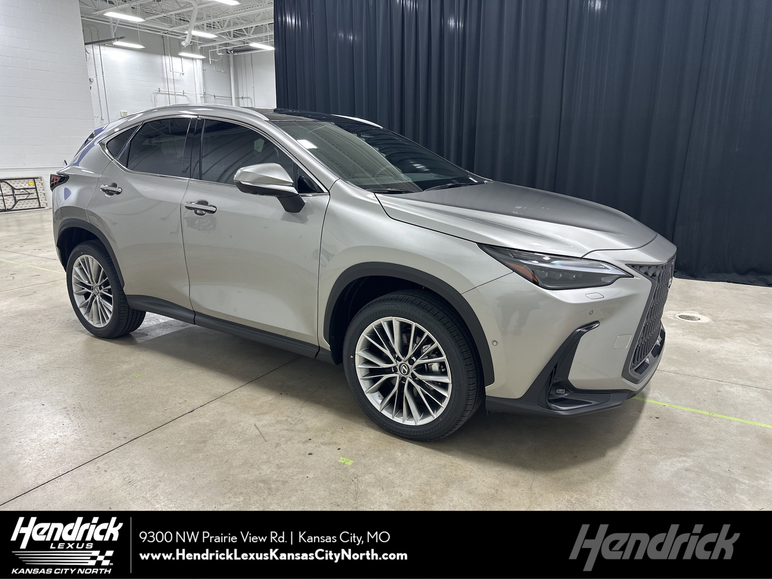2026 Lexus NX Base's photo