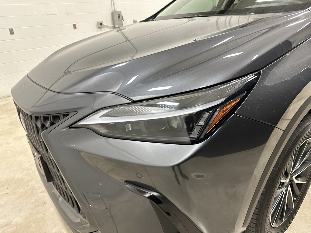 Used 2025 Lexus NX 350 SUV