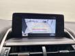 2019 LEXUS NX 300 F SPORT SUV