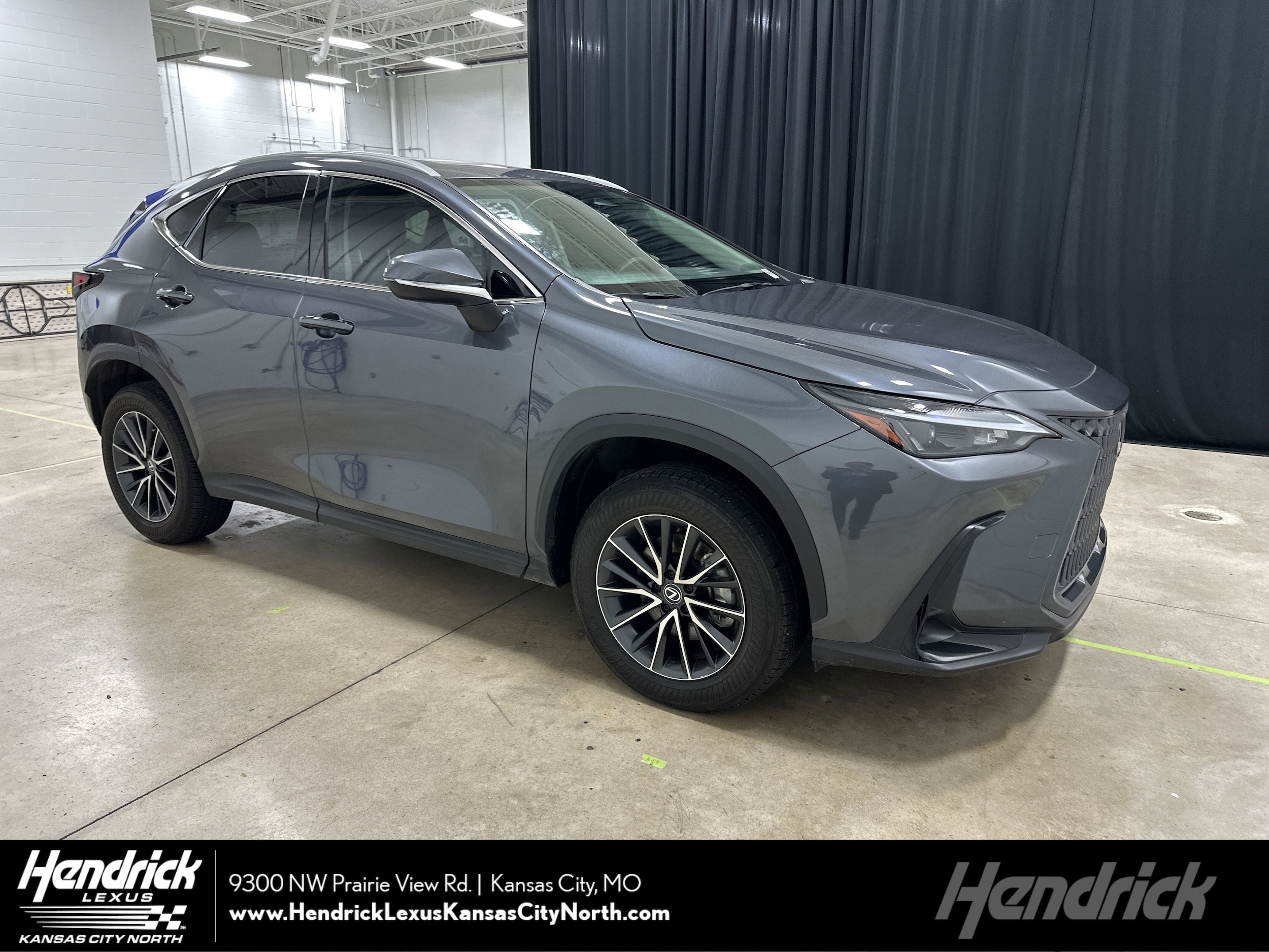 2024 Lexus NX Hybrid 350h's photo