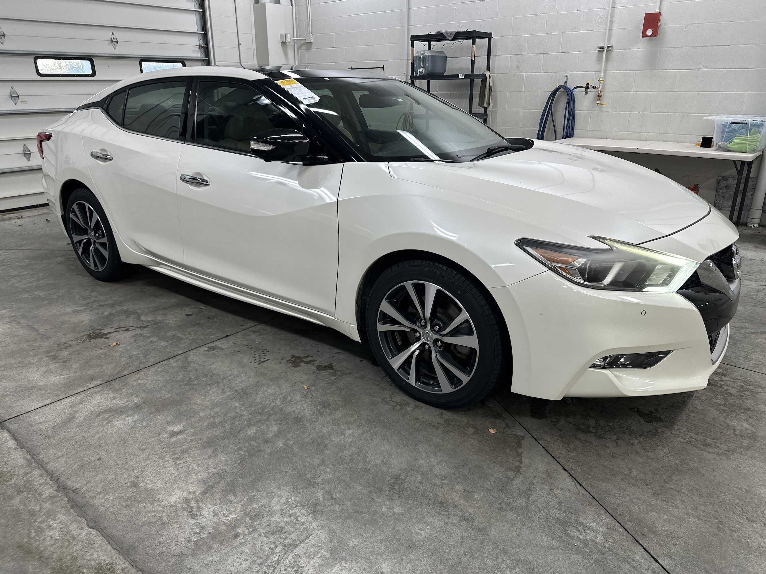 Used 2016 Nissan Maxima Platinum with VIN 1N4AA6AP9GC437848 for sale in Kansas City