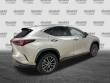 2024 LEXUS NX 350 350 Premium SUV